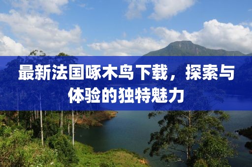 最新法國(guó)啄木鳥下載，探索與體驗(yàn)的獨(dú)特魅力