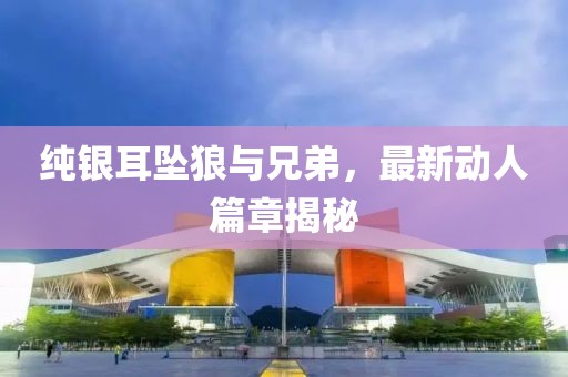 純銀耳墜狼與兄弟，最新動(dòng)人篇章揭秘