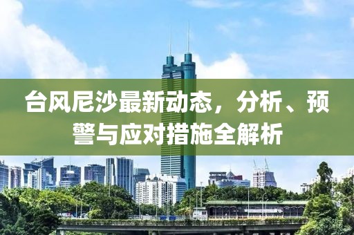 臺(tái)風(fēng)尼沙最新動(dòng)態(tài)，分析、預(yù)警與應(yīng)對(duì)措施全解析