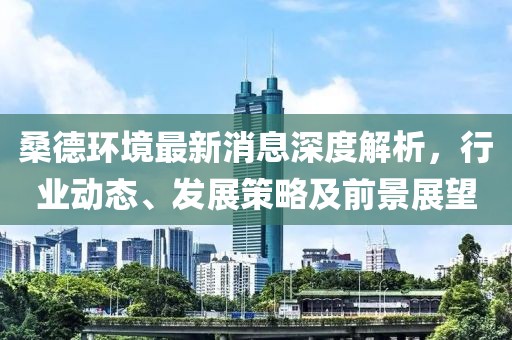桑德環(huán)境最新消息深度解析，行業(yè)動(dòng)態(tài)、發(fā)展策略及前景展望