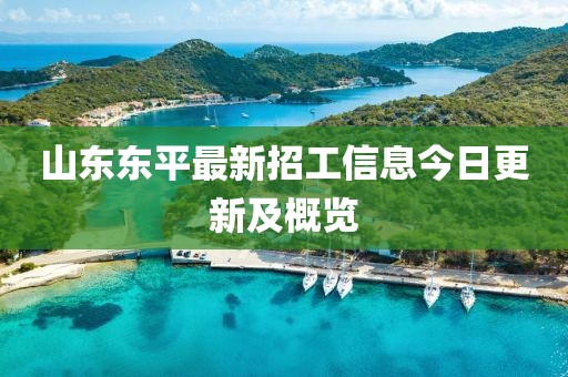 山東東平最新招工信息今日更新及概覽