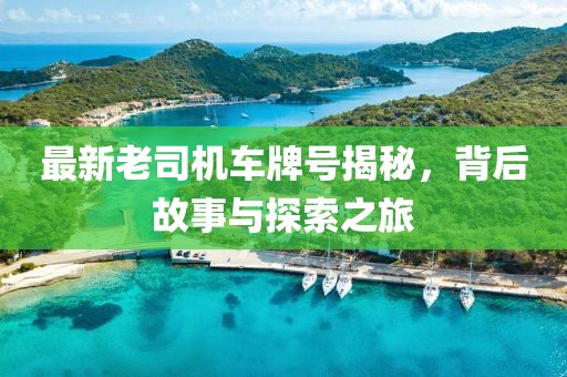 最新老司機(jī)車牌號(hào)揭秘，背后故事與探索之旅