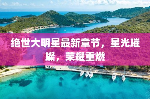 絕世大明星最新章節(jié)，星光璀璨，榮耀重燃