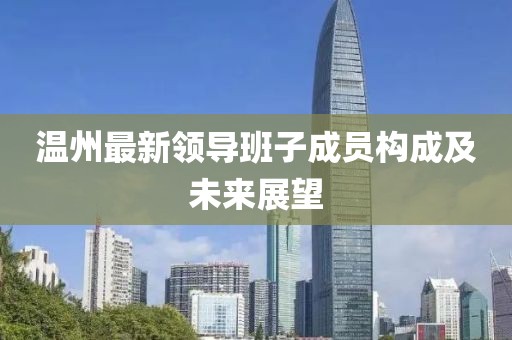 溫州最新領(lǐng)導班子成員構(gòu)成及未來展望