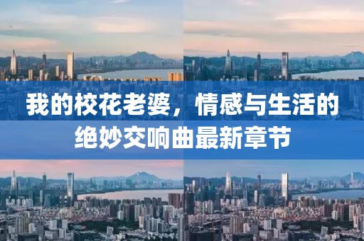 我的校花老婆，情感與生活的絕妙交響曲最新章節(jié)