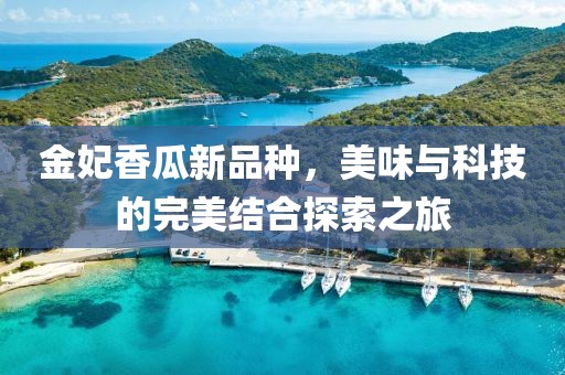 金妃香瓜新品種，美味與科技的完美結(jié)合探索之旅