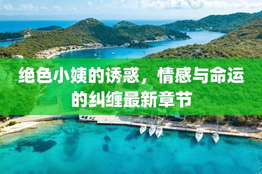 絕色小姨的誘惑，情感與命運的糾纏最新章節(jié)