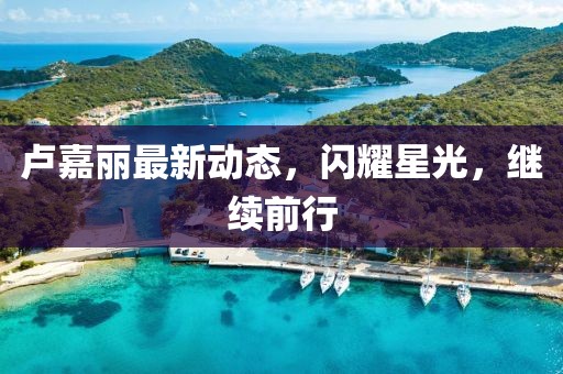 盧嘉麗最新動(dòng)態(tài)，閃耀星光，繼續(xù)前行