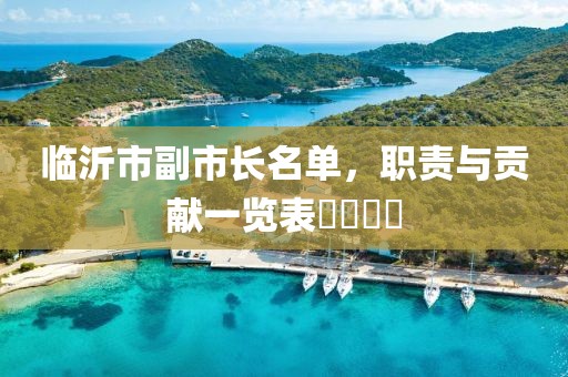臨沂市副市長名單，職責(zé)與貢獻(xiàn)一覽表????