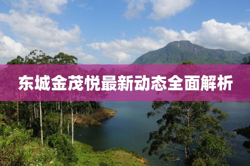 東城金茂悅最新動(dòng)態(tài)全面解析