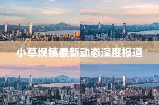 小草壩鎮(zhèn)最新動(dòng)態(tài)深度報(bào)道
