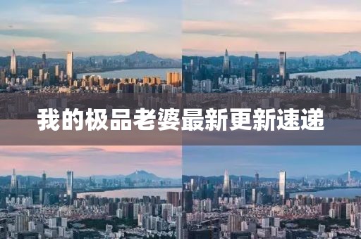 我的極品老婆最新更新速遞