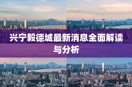 興寧毅德城最新消息全面解讀與分析