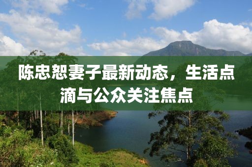 陳忠恕妻子最新動(dòng)態(tài)，生活點(diǎn)滴與公眾關(guān)注焦點(diǎn)