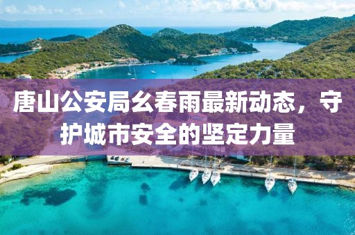 唐山公安局幺春雨最新動態(tài)，守護城市安全的堅定力量