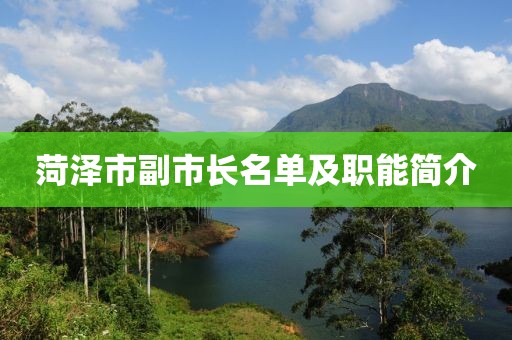 菏澤市副市長名單及職能簡介