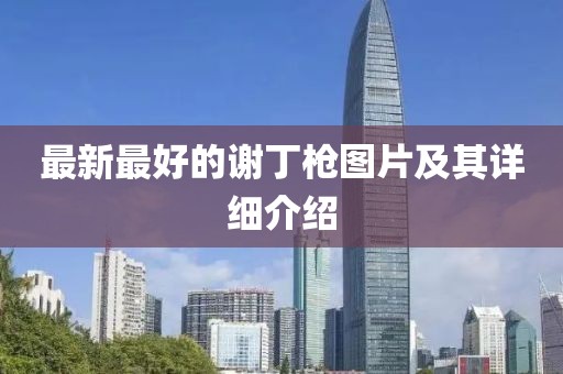 最新最好的謝丁槍圖片及其詳細(xì)介紹