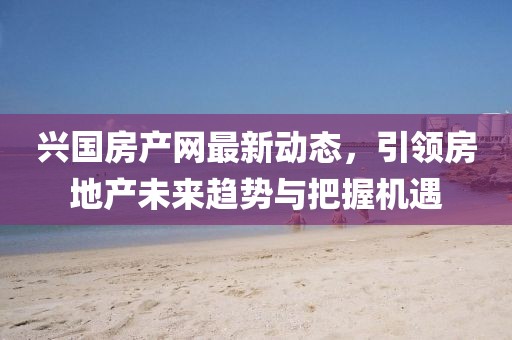 興國房產(chǎn)網(wǎng)最新動態(tài)，引領(lǐng)房地產(chǎn)未來趨勢與把握機遇