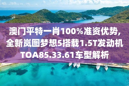 澳門平特一肖100%準(zhǔn)資優(yōu)勢,全新嵐圖夢想5搭載1.5T發(fā)動機(jī)TOA85.33.61車型解析