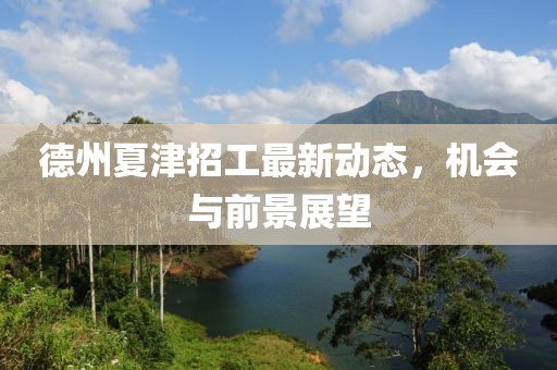 德州夏津招工最新動(dòng)態(tài)，機(jī)會(huì)與前景展望
