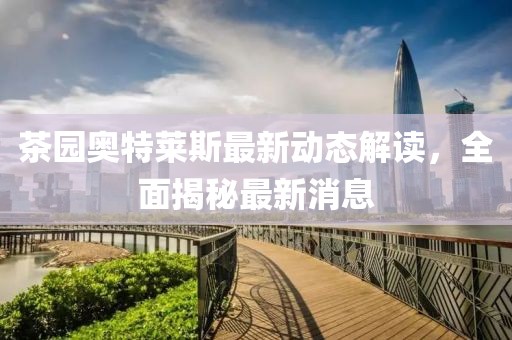 茶園奧特萊斯最新動態(tài)解讀，全面揭秘最新消息