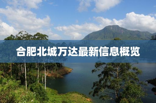 合肥北城萬達最新信息概覽