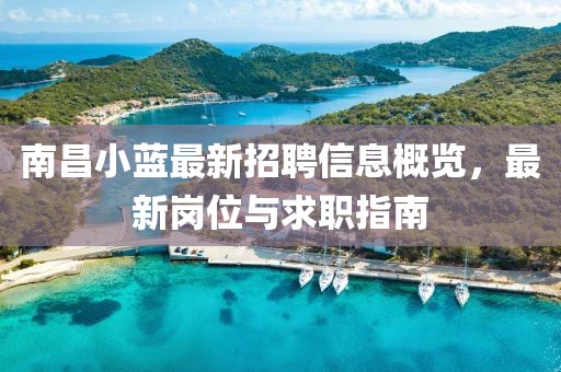 南昌小藍(lán)最新招聘信息概覽，最新崗位與求職指南