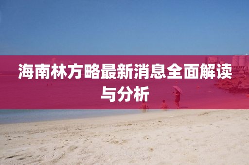 海南林方略最新消息全面解讀與分析
