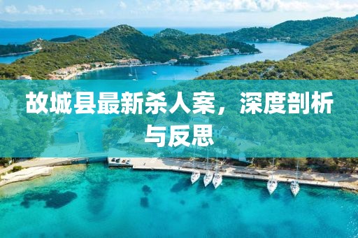 故城縣最新殺人案，深度剖析與反思