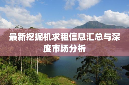 最新挖掘機求租信息匯總與深度市場分析