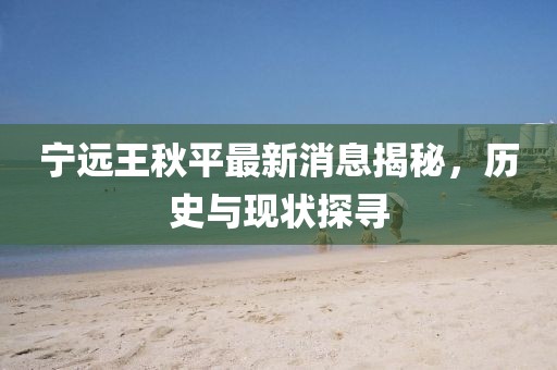 寧遠(yuǎn)王秋平最新消息揭秘，歷史與現(xiàn)狀探尋