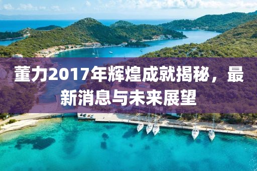 董力2017年輝煌成就揭秘，最新消息與未來(lái)展望