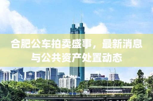 合肥公車(chē)拍賣(mài)盛事，最新消息與公共資產(chǎn)處置動(dòng)態(tài)