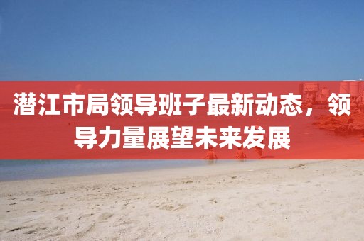 潛江市局領(lǐng)導(dǎo)班子最新動態(tài)，領(lǐng)導(dǎo)力量展望未來發(fā)展