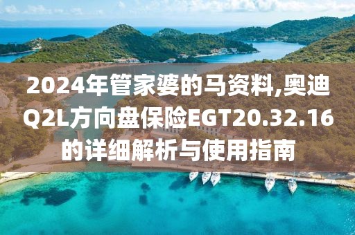 2024年管家婆的馬資料,奧迪Q2L方向盤保險EGT20.32.16的詳細(xì)解析與使用指南