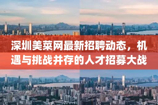 深圳美菜網(wǎng)最新招聘動(dòng)態(tài)，機(jī)遇與挑戰(zhàn)并存的人才招募大戰(zhàn)