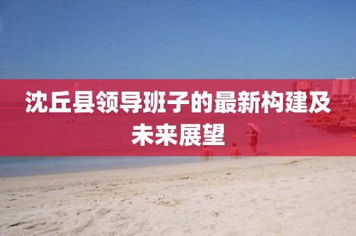 沈丘縣領導班子的最新構建及未來展望