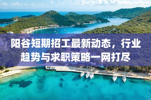 陽谷短期招工最新動(dòng)態(tài)，行業(yè)趨勢(shì)與求職策略一網(wǎng)打盡