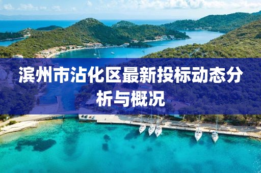濱州市沾化區(qū)最新投標(biāo)動(dòng)態(tài)分析與概況