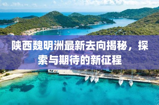 陜西魏明洲最新去向揭秘，探索與期待的新征程