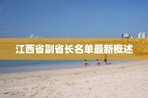 江西省副省長名單最新概述