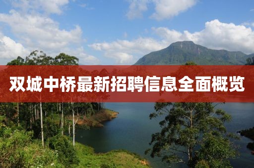 雙城中橋最新招聘信息全面概覽