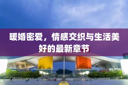 暖婚密愛，情感交織與生活美好的最新章節(jié)