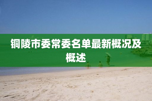 銅陵市委常委名單最新概況及概述