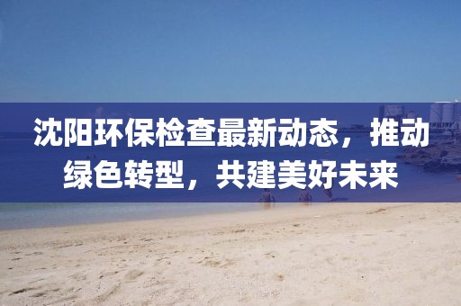 沈陽環(huán)保檢查最新動(dòng)態(tài)，推動(dòng)綠色轉(zhuǎn)型，共建美好未來