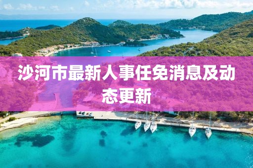 沙河市最新人事任免消息及動態(tài)更新