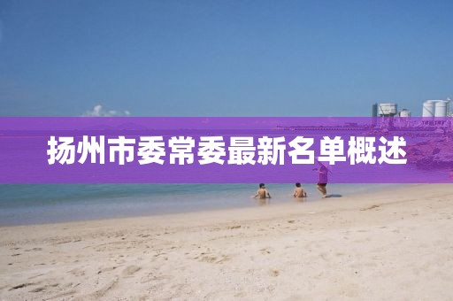 揚(yáng)州市委常委最新名單概述