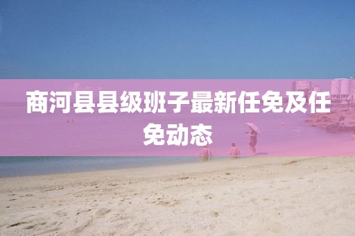 商河縣縣級班子最新任免及任免動態(tài)