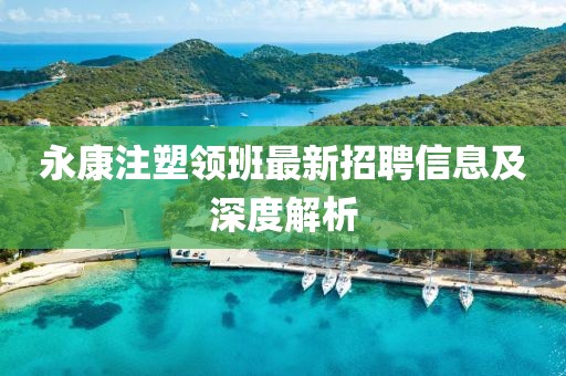 永康注塑領(lǐng)班最新招聘信息及深度解析