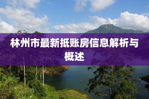 林州市最新抵賬房信息解析與概述